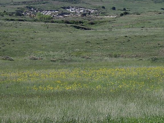 Paint Mine on Preserve
