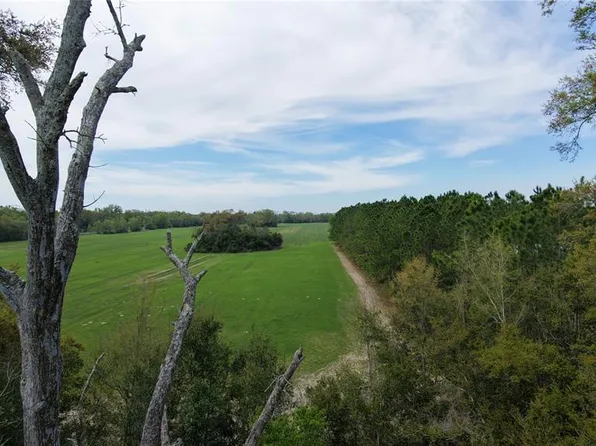 Sw Ct Lot 344-13, Trenton, FL 32693
