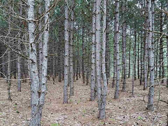 5th image of LOT 8 Meadowpine Dr