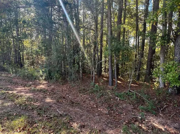 County Road 19 #1, Woodland, AL 36280