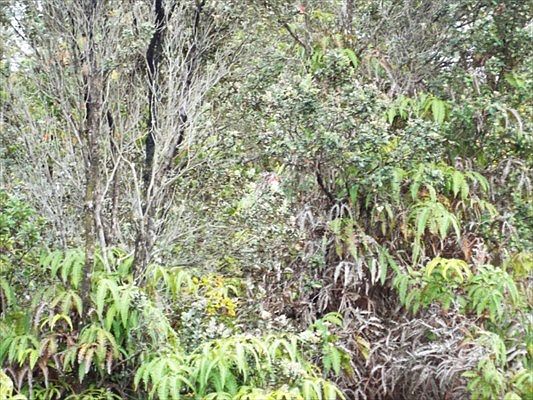 3rd image of Pa Alii St Lot 1751