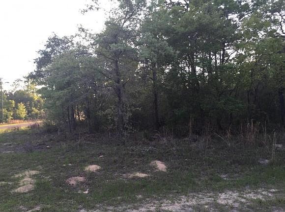 2nd image of 3461 W Fountain Ln