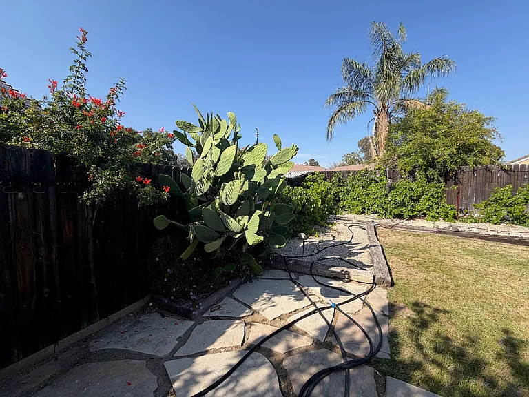 7159 Walcott Pl — Photo 12