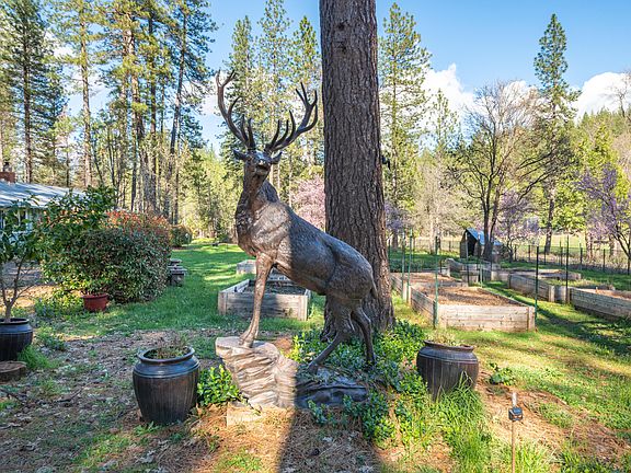 2nd image of 29276 Bullskin Ridge Rd