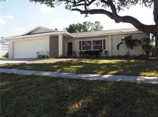 1925 Briarwood St, Dunedin, FL 34698