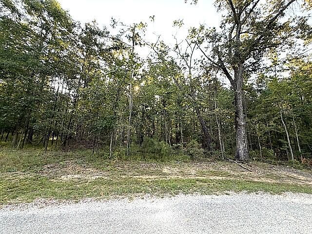 2nd image of 57 Timber Ridge Dr