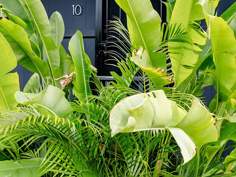 Checking into your lush, island bungalow.
