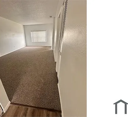 1101 Lake Jennie Dr — Photo 7