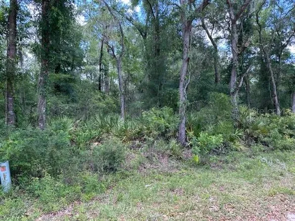 6471 OTTER DRIVE LOT 37, WEBSTER, FL 33597
