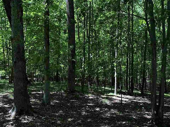 4th image of LOT 2 Piney Creek Ln Lot 2