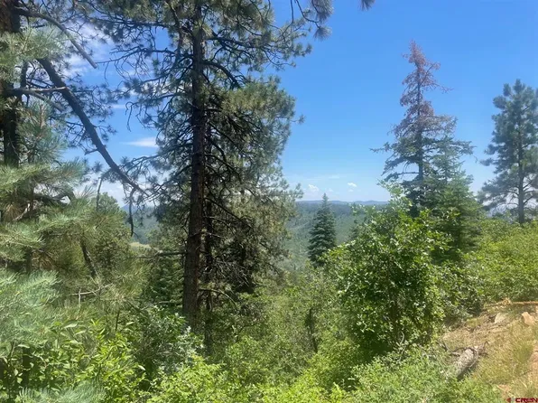 Lot 120 and 121 Pineway Drive, Bayfield, CO 81122