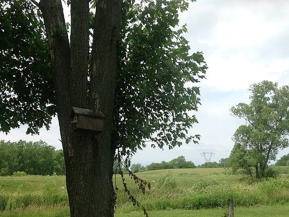 Beautiful backyard view!