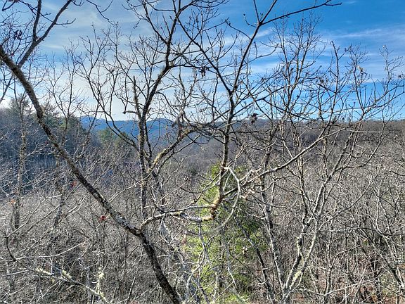 5th image of 98 Woodlands Bluff Ln