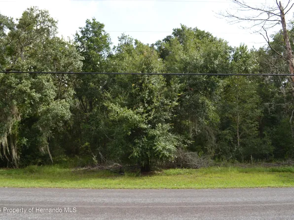 1275 E Amberjack Dr, Hernando, FL 34442