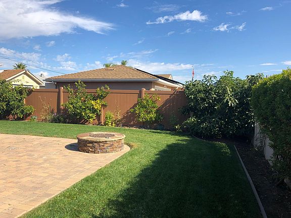 four citrus and one avocado tree produce lots of fruit - outdoor gas fire-pit for entertaining