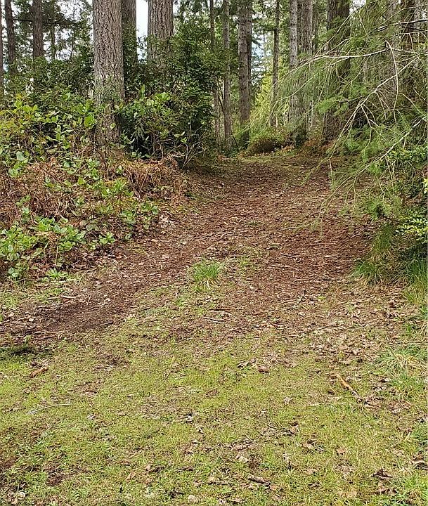 Driveway from paved, County maintained road.