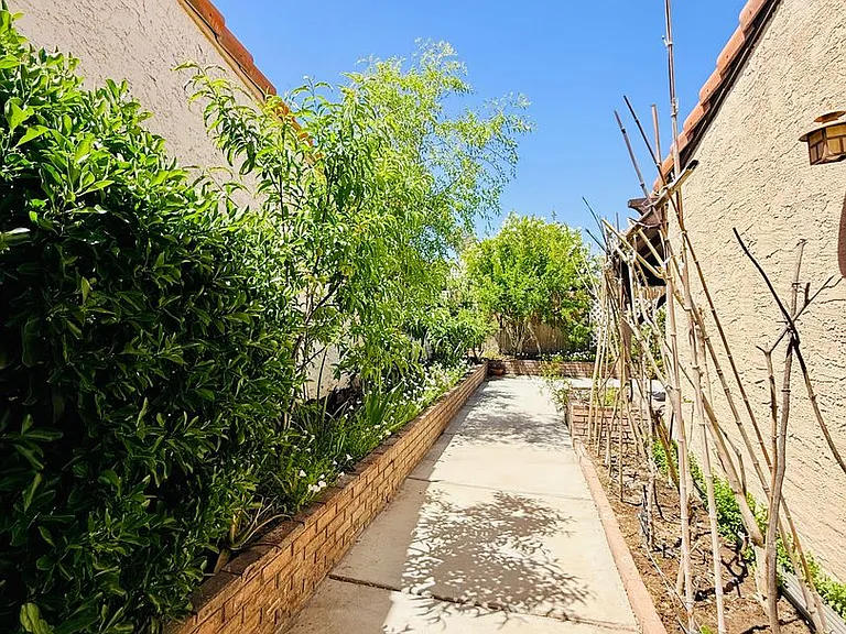 2212 Plaza Del Prado — Photo 47