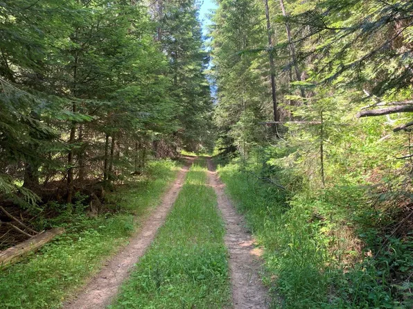 49XX Getna Way, Springdale, WA 99173