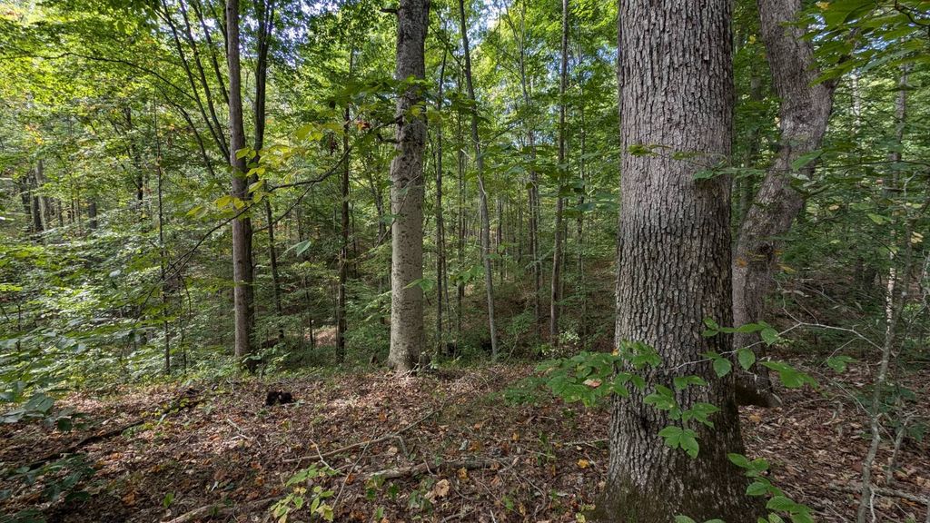 Real estate listing image