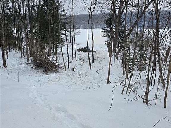 3rd image of Lake Lot 7(3.73 Acres) Deer Lake Road