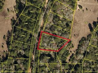 Deerwood Dr, Hempstead, TX 77445