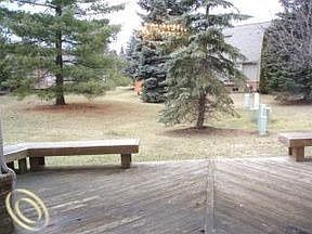 4th image of 37520 Amber Dr #1