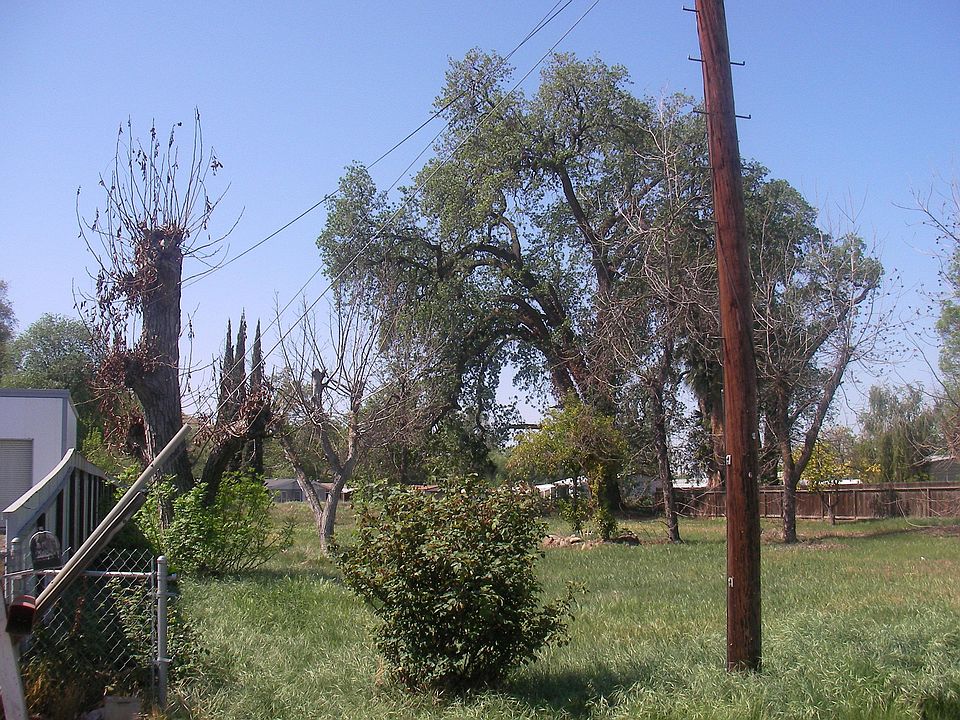 2nd image of 923 Hill Dr