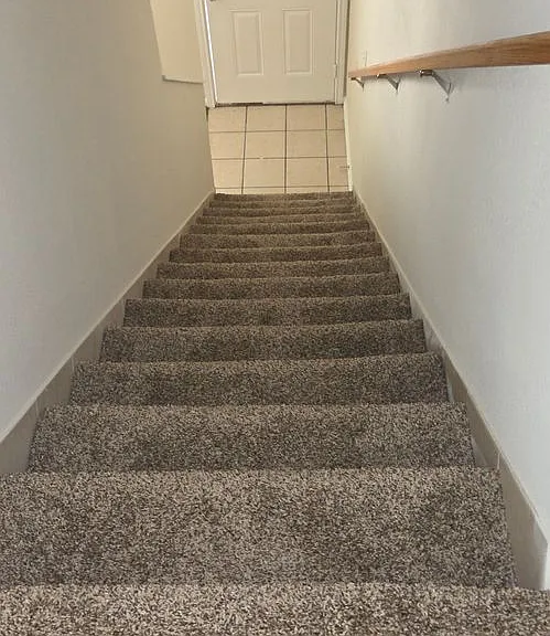 809 Leifester Cir — Photo 17