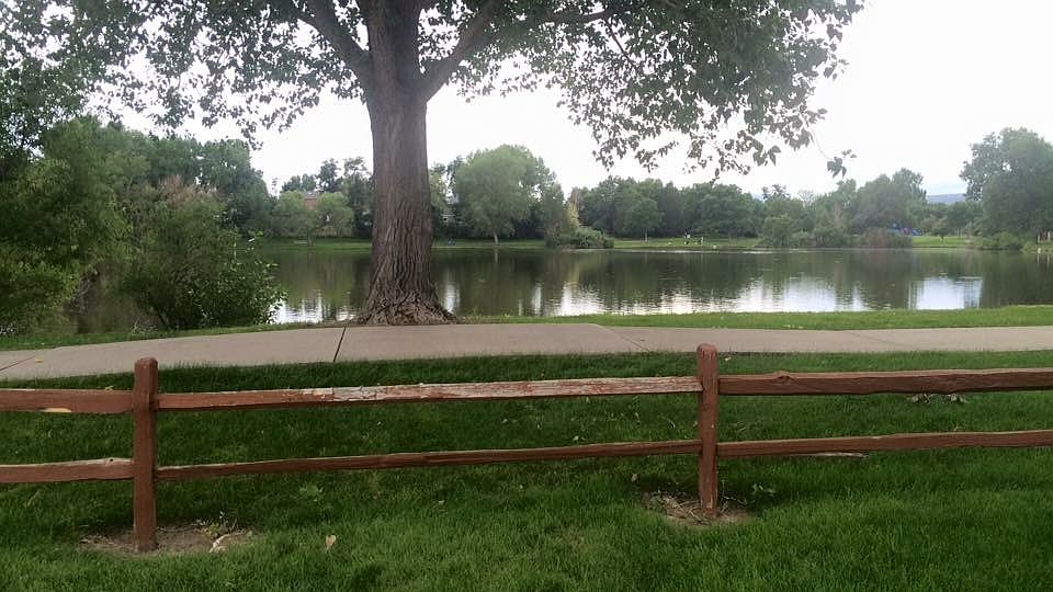 Meadow Lake
