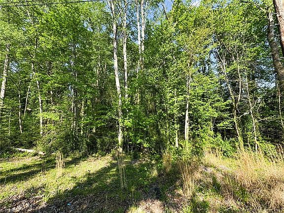 3rd image of 2127 Westminister Ln Lot 103