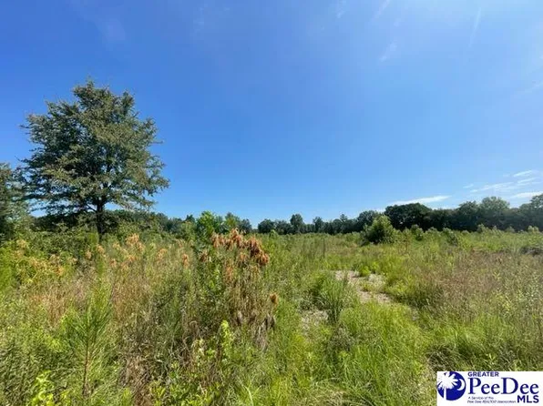 Highway 9, Wallace, SC 29596