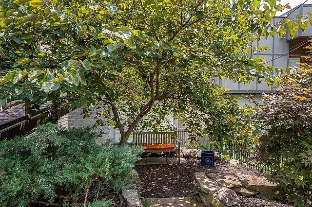 Avondale Dr — Photo 11
