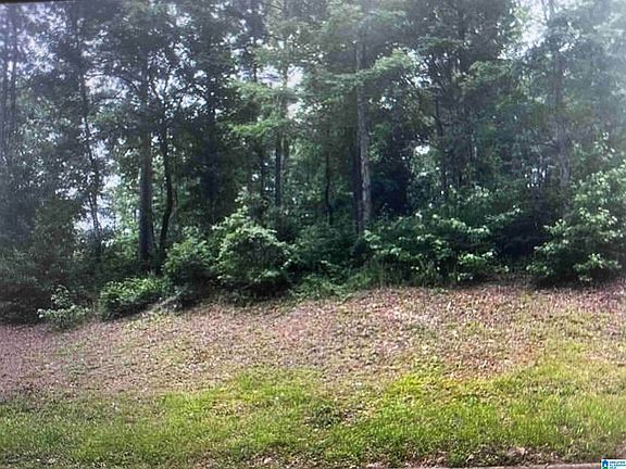 4th image of 1202 Woodlands Way #5