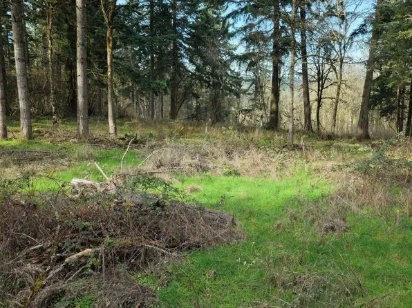 0 Shady Oak Rd NE, Albany, OR 97322