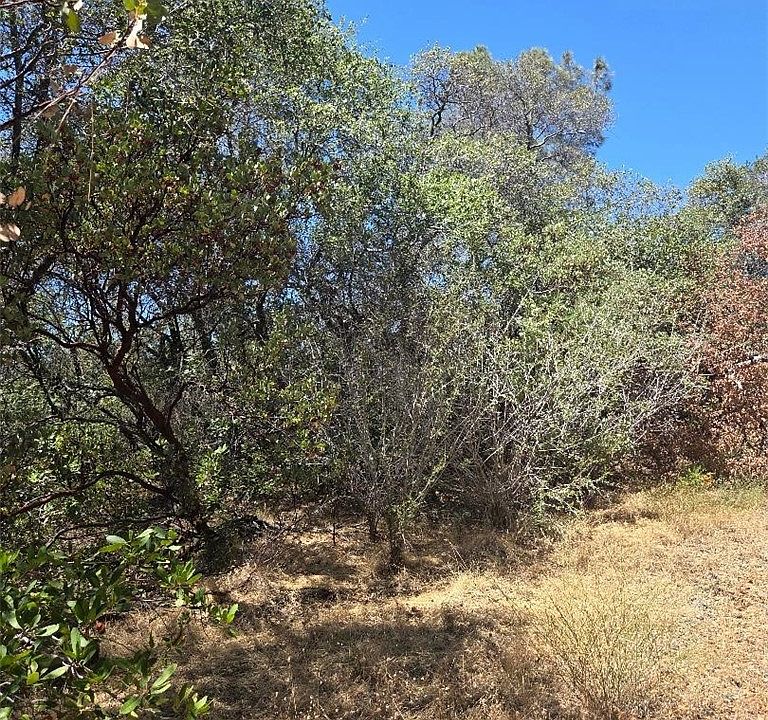 1st image of 0 Roemelt Ln