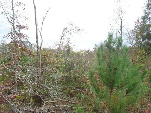 4th image of 1842 Coosa County Road 50