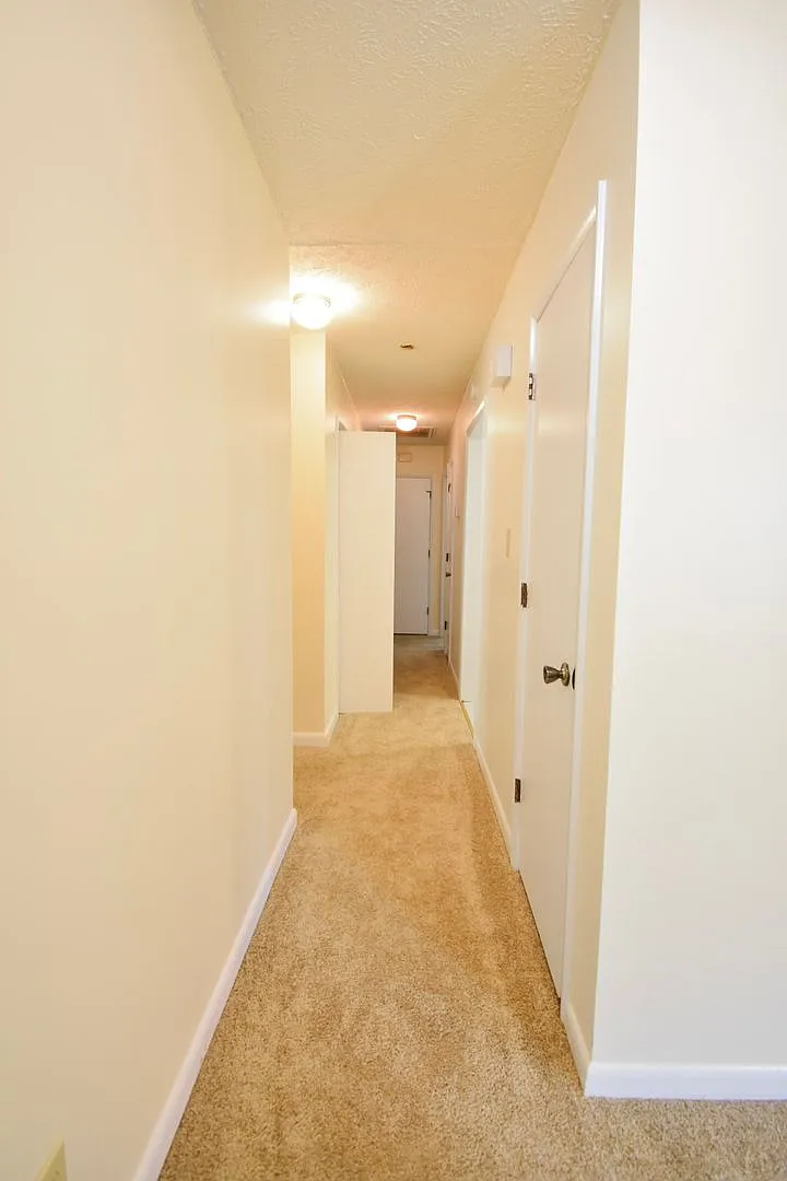 Move In Ready-New Interior Paint- 3 Bedroom 2 Bathroom- No Pets — Photo 3