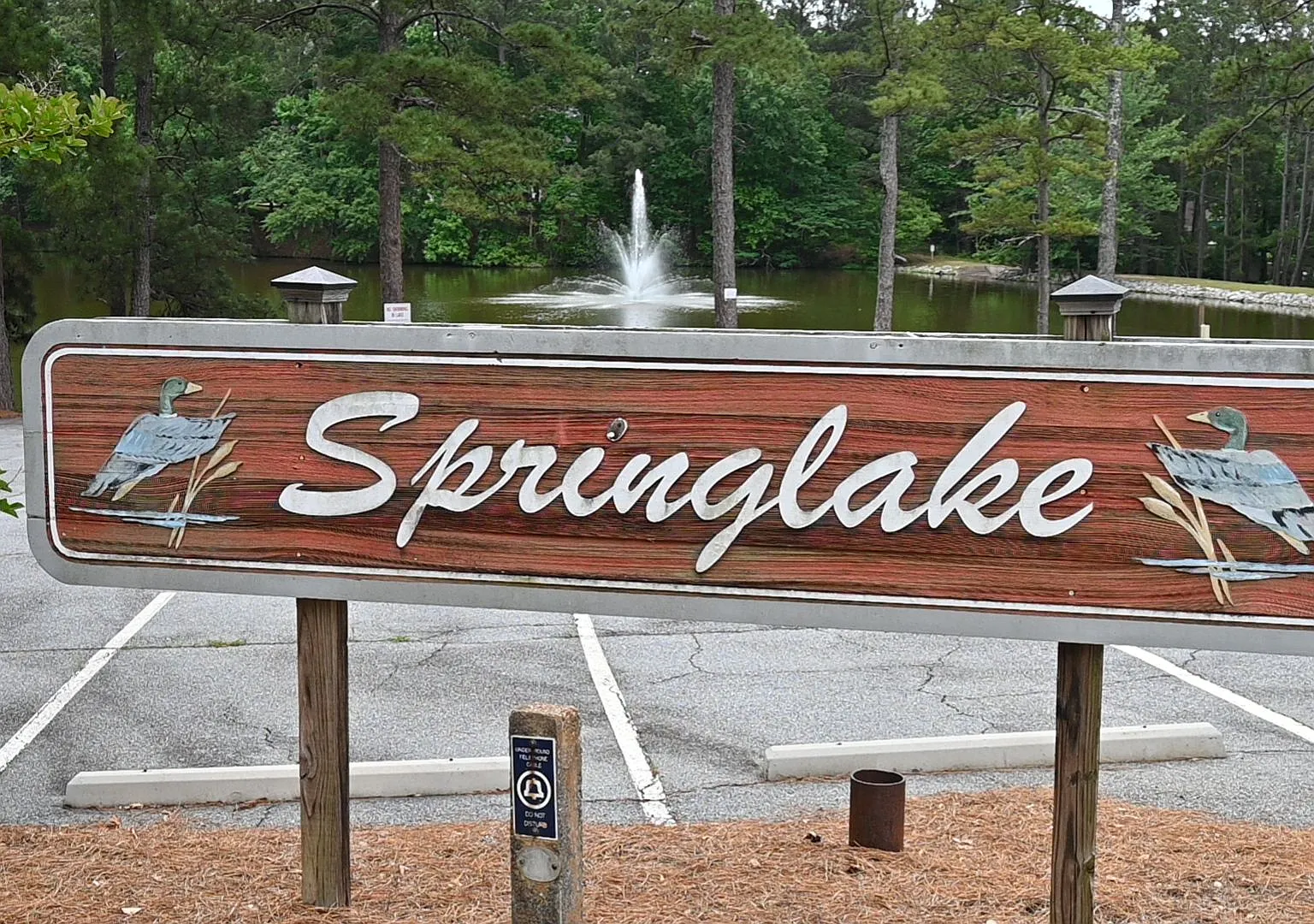 Ft Benning & Columbus-31909: 4/3-Move-In Ready on Lake — Photo 2
