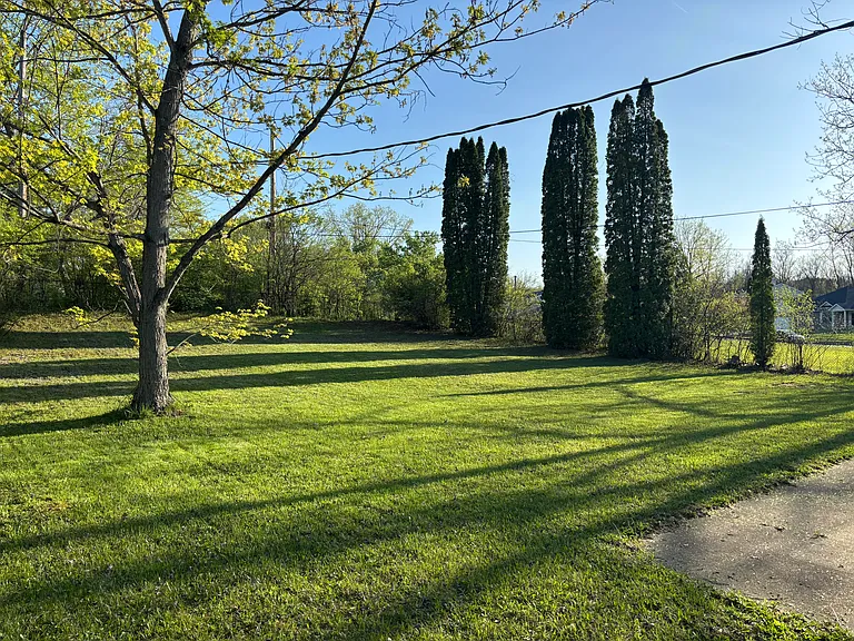 Large Backyard