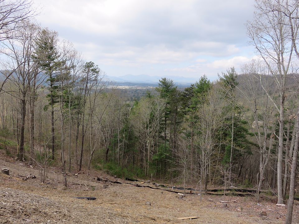 Long View 1, neighbor border