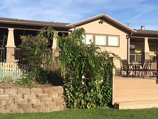 Backyard Deck 