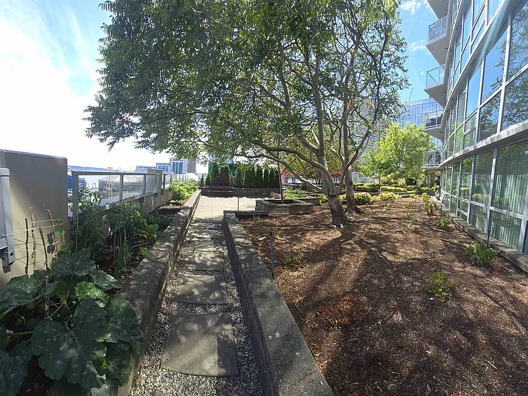 14 Begbie St #301 — Photo 13