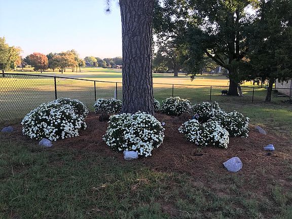 Fairway view