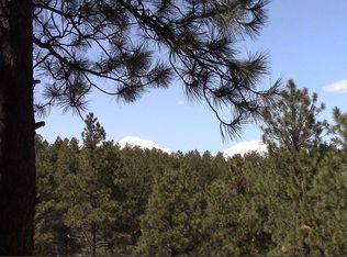 261 Sawmill Rd, Durango, CO 81303