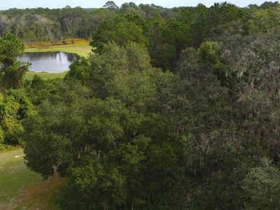 11701 SE Highway 464, Ocklawaha, FL, 32179