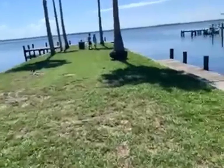 city boat dock