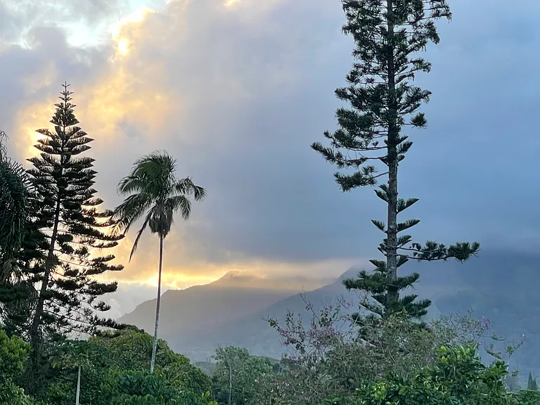1301 Kamalu Rd #C — Photo 18