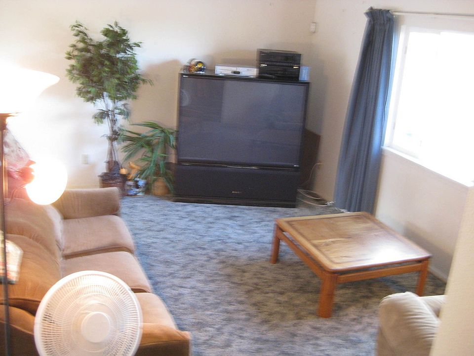 Sunny Family Room