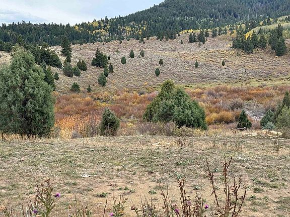 2nd image of 0 Cow Camp Rd