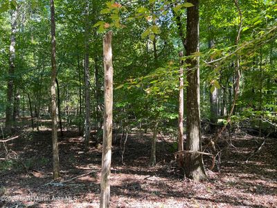 16 Fawn Ln, Dadeville, AL, 36853